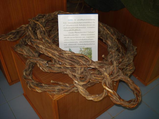 DSC00397_resize.JPG